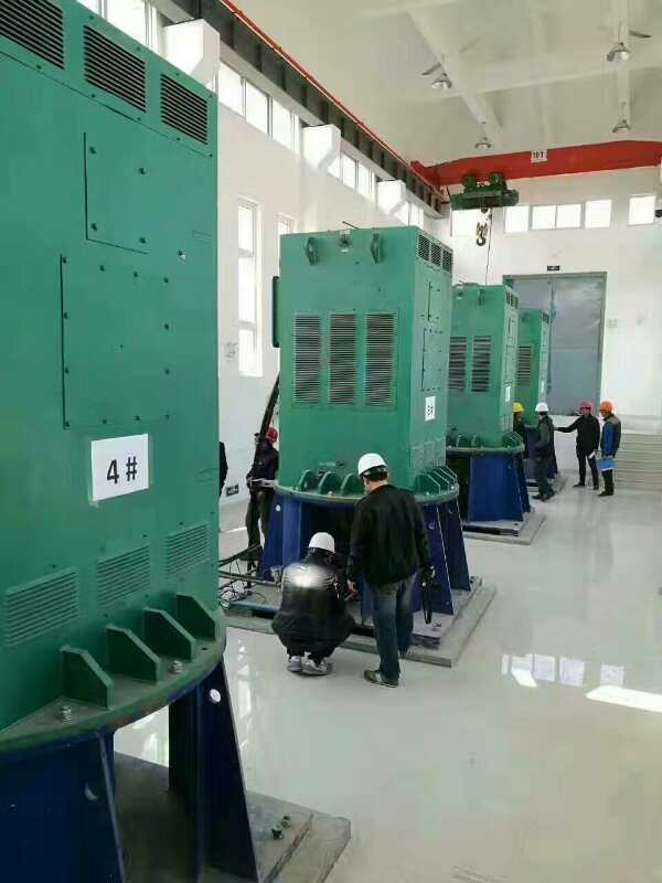 YKK7105-10某污水处理厂使用我厂的立式高压电机安装现场